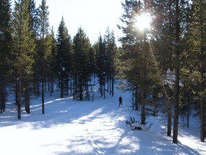 Yellowstone Winter